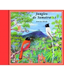 Jungles de Sumatra Vol 1