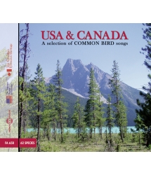 USA And Canada