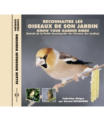 RECONNAÎTRE LES OISEAUX DE SON JARDIN