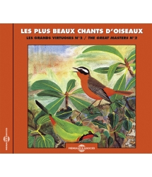 Les Plus Beaux Chants D'Oiseaux 