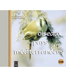 Oiseaux Des Pays Méditerranéens