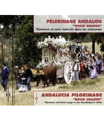 Pèlerinage Andalou : Rocio...