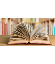Livre au format numérique 2